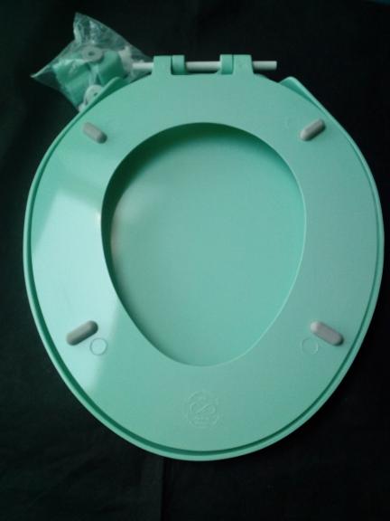 Turquoise toilet outlet seat cover